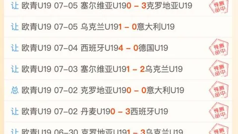 2026深度解析K体育ksport官网：谁是优秀与平庸赛道上的领跑先锋